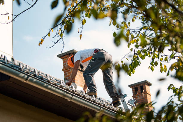 Professional Roofing Contractor in Lenoir, NC